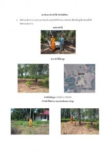 สถานีเพาะชำกล้าไม้จังหวัดพิจิตร-แปลงปลูกต้นไม้59 แปลงที่ 2