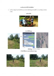 สถานีเพาะชำกล้าไม้จังหวัดพิจิตร-แปลงปลูกต้นไม้59 แปลงที่ 3