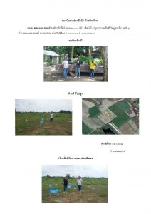 สถานีเพาะชำกล้าไม้จังหวัดพิจิตร-แปลงปลูกต้นไม้59 แปลงที่ 4