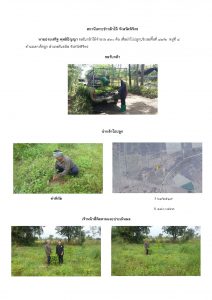 สถานีเพาะชำกล้าไม้จังหวัดพิจิตร-แปลงปลูกต้นไม้59 แปลงที่ 5