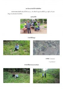 สถานีเพาะชำกล้าไม้จังหวัดพิจิตร-แปลงปลูกต้นไม้59 แปลงที่ 6