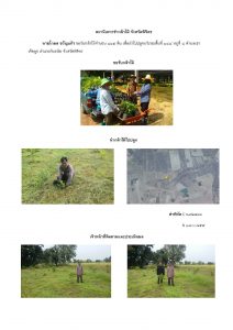 สถานีเพาะชำกล้าไม้จังหวัดพิจิตร-แปลงปลูกต้นไม้59 แปลงที่ 7