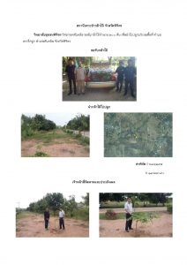 สถานีเพาะชำกล้าไม้จังหวัดพิจิตร-แปลงปลูกต้นไม้59 แปลงที่ 8