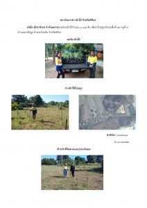 สถานีเพาะชำกล้าไม้จังหวัดพิจิตร-แปลงปลูกต้นไม้59 แปลงที่ 9