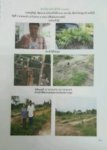 สถานีเพาะชำกล้าไม้จังหวัดระยอง-แปลงปลูก59 แปลงที่ 1