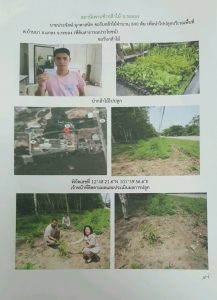 สถานีเพาะชำกล้าไม้จังหวัดระยอง-แปลงปลูก59 แปลงที่ 3