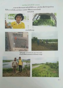 สถานีเพาะชำกล้าไม้จังหวัดระยอง-แปลงปลูก59 แปลงที่ 4