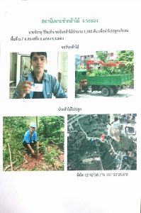 สถานีเพาะชำกล้าไม้จังหวัดระยอง-แปลงปลูก59 แปลงที่ 7