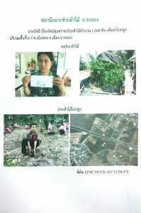 สถานีเพาะชำกล้าไม้จังหวัดระยอง-แปลงปลูก59 แปลงที่ 8