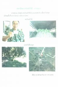 สถานีเพาะชำกล้าไม้จังหวัดระยอง-แปลงปลูก59 แปลงที่ 9