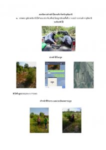 สถานีเพาะชำกล้าไม้ลานสัก-แปลงปลูกต้นไม้59 แปลงที่ 2