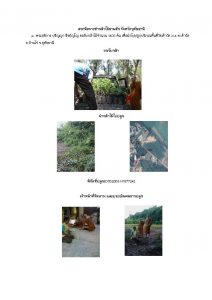 สถานีเพาะชำกล้าไม้ลานสัก-แปลงปลูกต้นไม้59 แปลงที่ 3