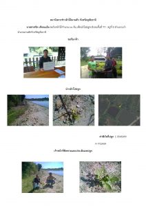 สถานีเพาะชำกล้าไม้ลานสัก-แปลงปลูกต้นไม้59 แปลงที่ 6