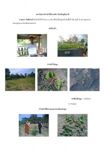 สถานีเพาะชำกล้าไม้ลานสัก-แปลงปลูกต้นไม้59 แปลงที่ 7