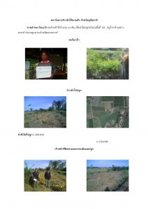 สถานีเพาะชำกล้าไม้ลานสัก-แปลงปลูกต้นไม้59 แปลงที่ 10