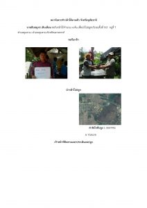 สถานีเพาะชำกล้าไม้ลานสัก-แปลงปลูกต้นไม้59 แปลงที่ 11