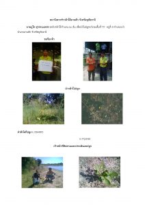 สถานีเพาะชำกล้าไม้ลานสัก-แปลงปลูกต้นไม้59 แปลงที่ 12