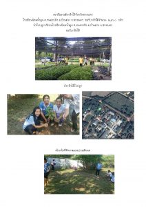 สถานีเพาะชำกล้าไม้จังหวัดสกลนคร-แปลงปลูก59 แปลงที่ 1