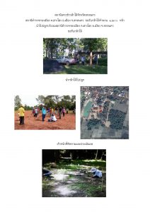 สถานีเพาะชำกล้าไม้จังหวัดสกลนคร-แปลงปลูก59 แปลงที่ 2