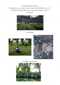 สถานีเพาะชำกล้าไม้จังหวัดสกลนคร-แปลงปลูก59 แปลงที่ 3