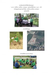 สถานีเพาะชำกล้าไม้จังหวัดสกลนคร-แปลงปลูก59 แปลงที่ 5