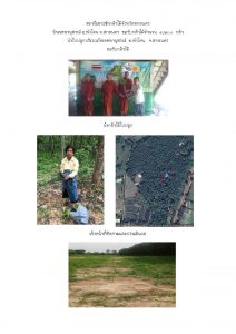 สถานีเพาะชำกล้าไม้จังหวัดสกลนคร-แปลงปลูก59 แปลงที่ 7