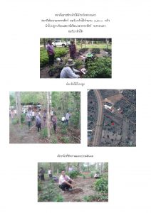 สถานีเพาะชำกล้าไม้จังหวัดสกลนคร-แปลงปลูก59 แปลงที่ 10