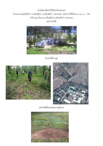 สถานีเพาะชำกล้าไม้จังหวัดสกลนคร-แปลงปลูก59 แปลงที่ 12