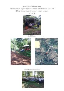 สถานีเพาะชำกล้าไม้จังหวัดสกลนคร-แปลงปลูก59 แปลงที่ 13