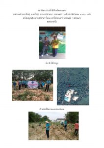 สถานีเพาะชำกล้าไม้จังหวัดสกลนคร-แปลงปลูก59 แปลงที่ 16