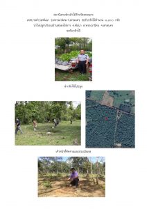 สถานีเพาะชำกล้าไม้จังหวัดสกลนคร-แปลงปลูก59 แปลงที่ 18