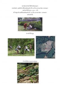 สถานีเพาะชำกล้าไม้จังหวัดสกลนคร-แปลงปลูก59 แปลงที่ 19