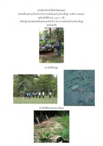 สถานีเพาะชำกล้าไม้จังหวัดสกลนคร-แปลงปลูก59 แปลงที่ 20