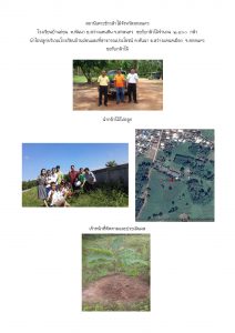 สถานีเพาะชำกล้าไม้จังหวัดสกลนคร-แปลงปลูก59 แปลงที่ 21