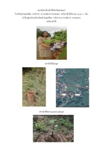 สถานีเพาะชำกล้าไม้จังหวัดสกลนคร-แปลงปลูก59 แปลงที่ 22