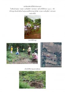 สถานีเพาะชำกล้าไม้จังหวัดสกลนคร-แปลงปลูก59 แปลงที่ 23