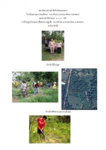 สถานีเพาะชำกล้าไม้จังหวัดสกลนคร-แปลงปลูก59 แปลงที่ 24