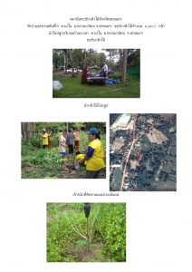 สถานีเพาะชำกล้าไม้จังหวัดสกลนคร-แปลงปลูก59 แปลงที่ 26