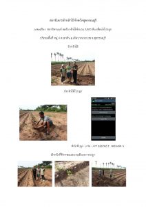 สถานีเพาะชำกล้าไม้จังหวัดสุพรรณบุรี-แปลงปลูก59 แปลงที่ 1