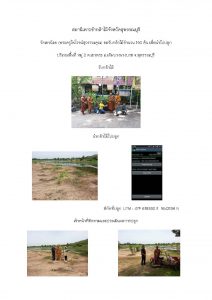 สถานีเพาะชำกล้าไม้จังหวัดสุพรรณบุรี-แปลงปลูก59 แปลงที่ 2