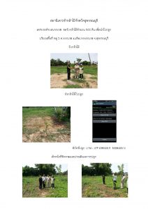 สถานีเพาะชำกล้าไม้จังหวัดสุพรรณบุรี-แปลงปลูก59 แปลงที่ 3