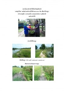 สถานีเพาะชำกล้าไม้จังหวัดอุทัยธานี- แปลงปลูกต้นไม้59 แปลงที่ 5