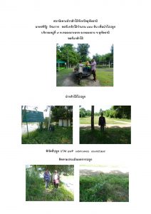 สถานีเพาะชำกล้าไม้จังหวัดอุทัยธานี- แปลงปลูกต้นไม้59 แปลงที่ 6