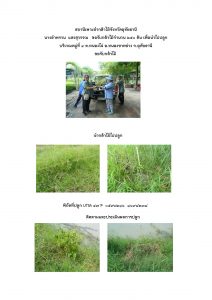 สถานีเพาะชำกล้าไม้จังหวัดอุทัยธานี- แปลงปลูกต้นไม้59 แปลงที่ 8