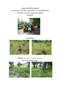 สถานีเพาะชำกล้าไม้จังหวัดอุทัยธานี- แปลงปลูกต้นไม้59 แปลงที่ 9