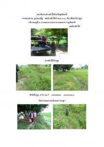 สถานีเพาะชำกล้าไม้จังหวัดอุทัยธานี- แปลงปลูกต้นไม้59 แปลงที่ 10