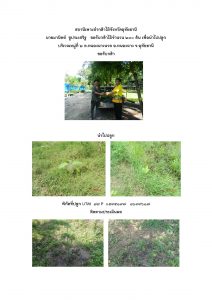 สถานีเพาะชำกล้าไม้จังหวัดอุทัยธานี- แปลงปลูกต้นไม้59 แปลงที่ 11