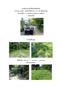 สถานีเพาะชำกล้าไม้จังหวัดอุทัยธานี- แปลงปลูกต้นไม้59 แปลงที่ 12