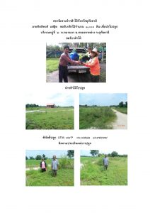 สถานีเพาะชำกล้าไม้จังหวัดอุทัยธานี- แปลงปลูกต้นไม้59 แปลงที่ 13