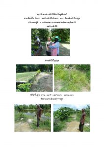 สถานีเพาะชำกล้าไม้จังหวัดอุทัยธานี- แปลงปลูกต้นไม้59 แปลงที่ 14